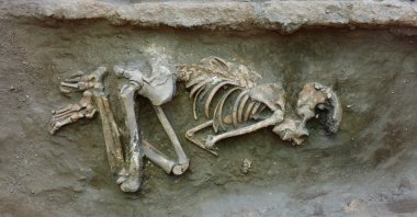 A burial site in Küllüoba, Eskişehir, central Turkey, Aug. 27, 2021. (AA Photo)