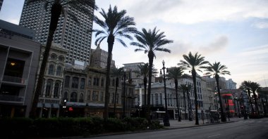 Palm trees stand along Canal Street in New Orleans, Louisiana on August 28, 2021 before the arrival of Hurricane Ida. (AFP Photo)