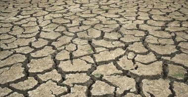 The marsh of Capestang in the Herault and Aude department is drying out as scorching temperatures and lack of rain hit it hard, France, Aug. 21, 2021. (Photo by Getty Images)