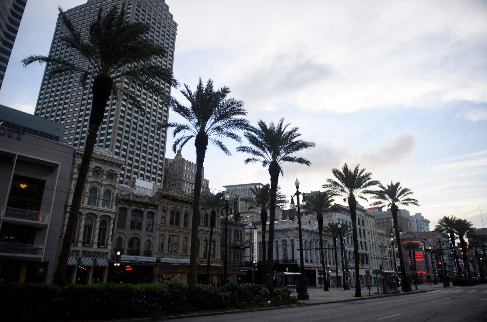 Palm trees stand along Canal Street in New Orleans, Louisiana on August 28, 2021 before the arrival of Hurricane Ida. (AFP Photo)