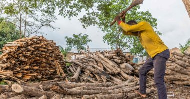 A man cuts wood to be sold in Zogbodomey, Benin, July 9, 2021. (AFP Photo)