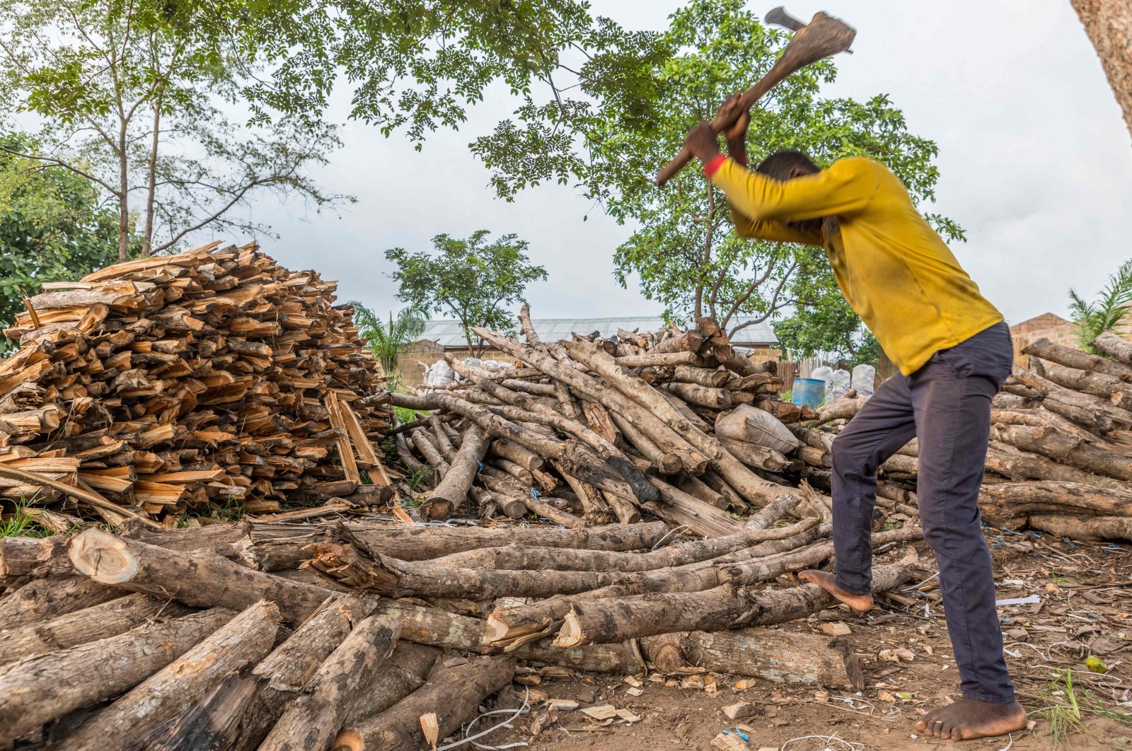 A man cuts wood to be sold in Zogbodomey, Benin, July 9, 2021. (AFP Photo)