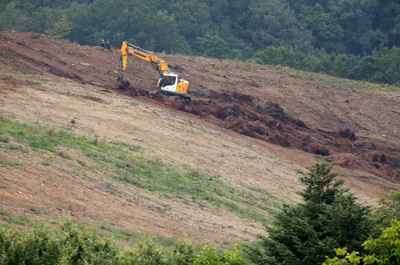 An excavator digs a 5-acre parcel of the forest near the village of Issancourt-et-Rumel as searches for the remains of 9-year-old girl Estelle Mouzin, who disappeared in 2003, resume. (AFP Photo)