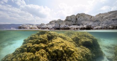 Underwater research in Lake Salda to provide critical data for NASA's Perseverance rover mission on Mars. (AA Photo) 