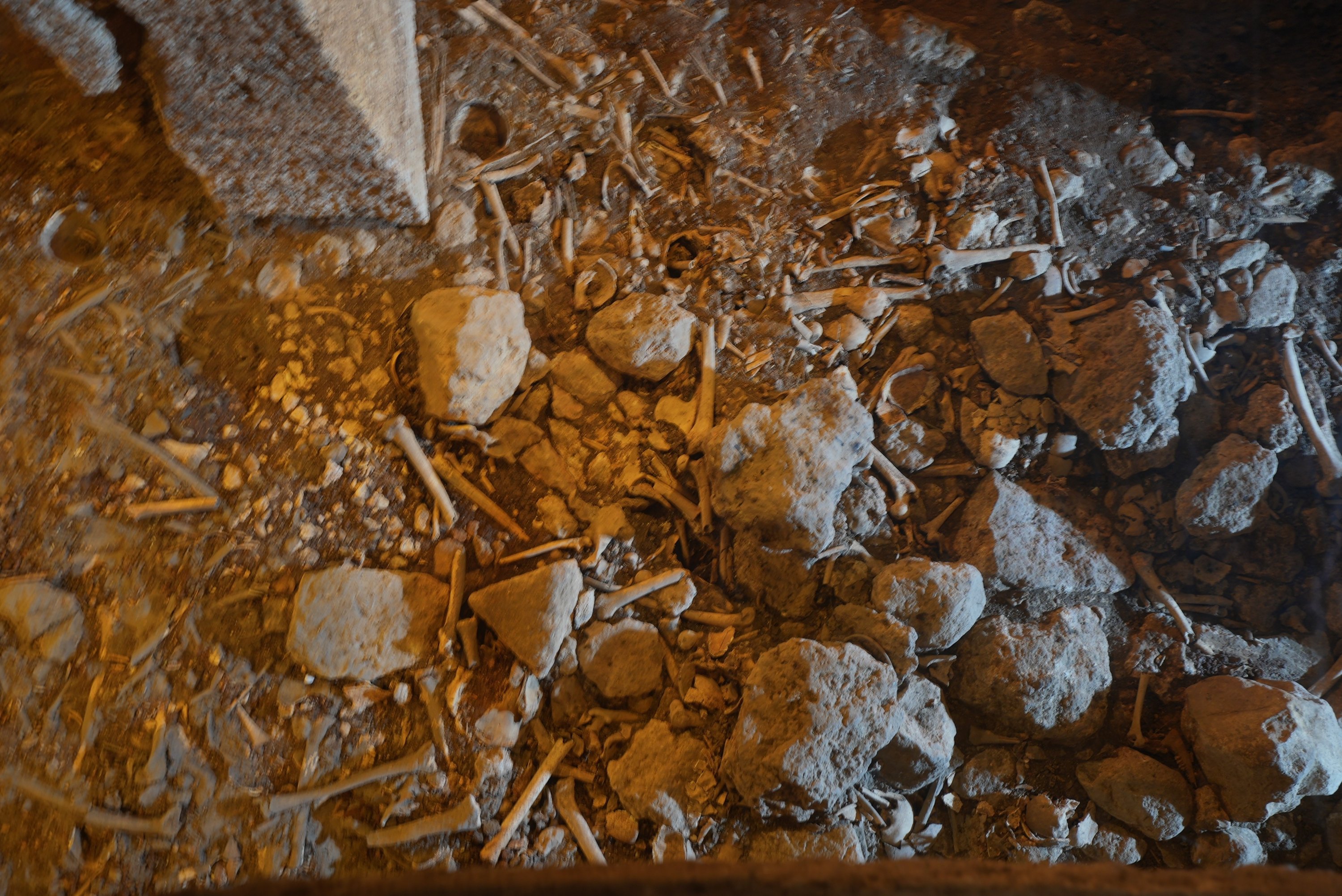 Bones lie beneath the gallery grave in the ancient city of Dara, Mardin, southeastern Turkey, Sept. 4, 2021. (AA Photo)