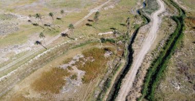 A general view of an orchard that dried out due to lack of water in Diyala province, Iraq, June 27, 2021. (Reuters Photo)