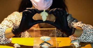 A museum staff member shows a "stargazer" statuette similar to the one smuggled to the United States, in Izmir, western Turkey, May 14, 2021. (AA Photo)