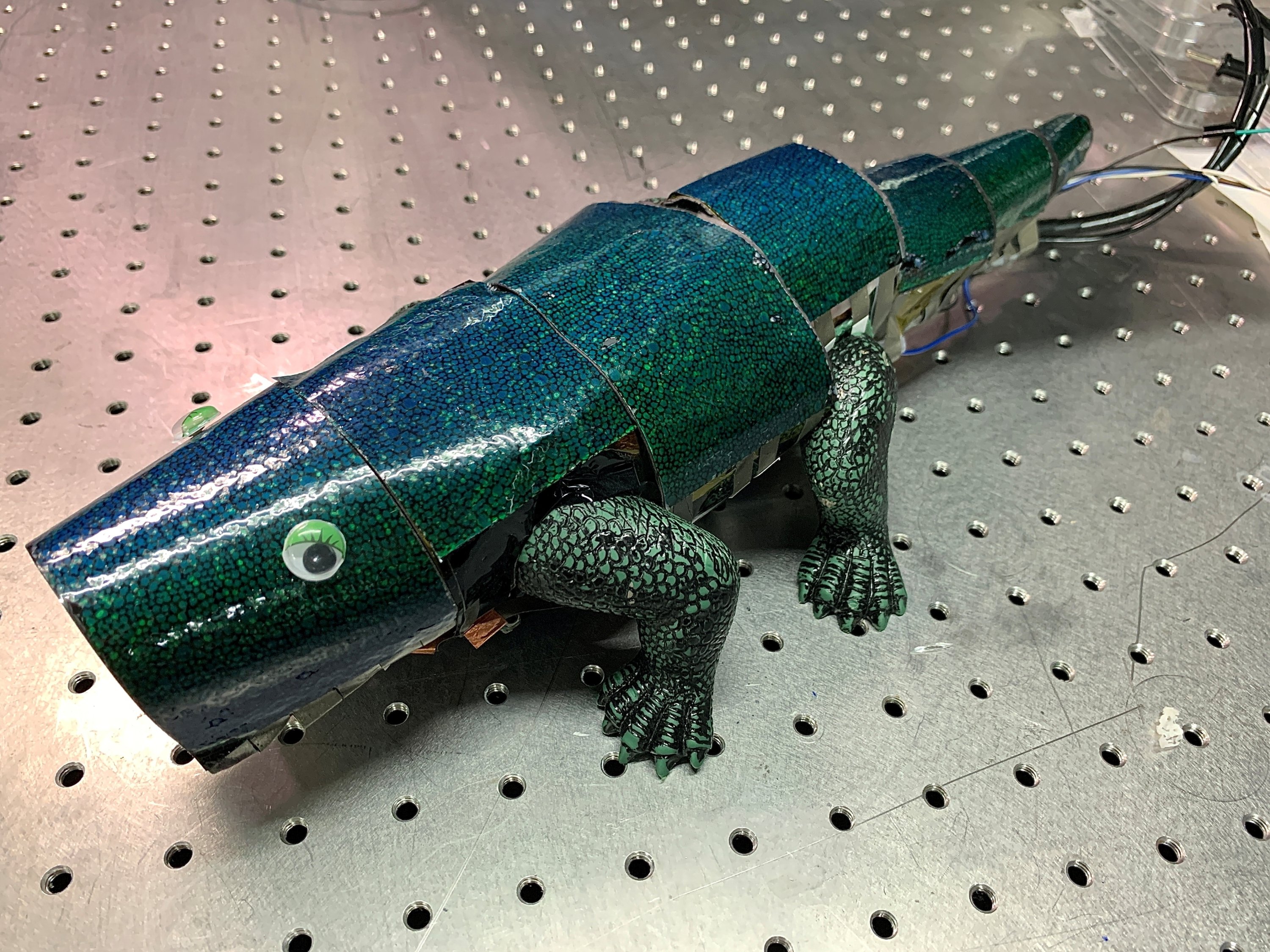 The secret to chameleon color change: Tiny crystals, Science