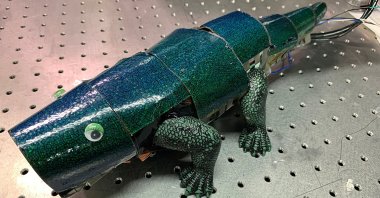 A chameleon robot covered with artificial skin that can change its color based on surroundings is seen in Seoul, South Korea, Sept. 7, 2021. (Reuters Photo)