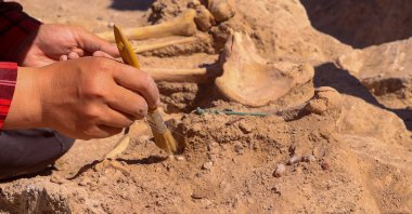 A member of the archaeological excavation team works on the skeleton of a woman unearthed at the necropolis of Çavuştepe Castle, in Van, Turkey, Sept. 8, 2021. (AA Photo)