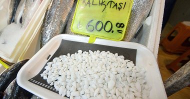 Otolith stones from the shi drum fish sold for TL 600 per kilo, Antalya, Turkey, Sept. 9, 2021. (Tolga Yildirim / DHA)