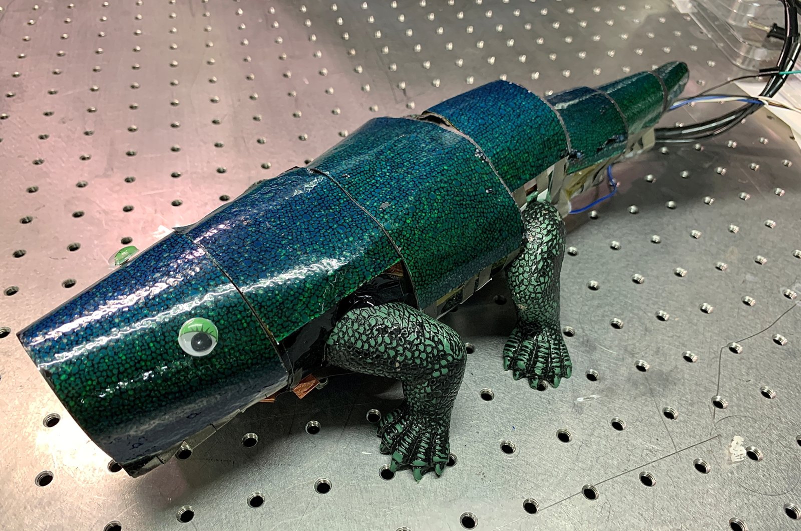 A chameleon robot covered with artificial skin that can change its color based on surroundings is seen in Seoul, South Korea, Sept. 7, 2021. (Reuters Photo)