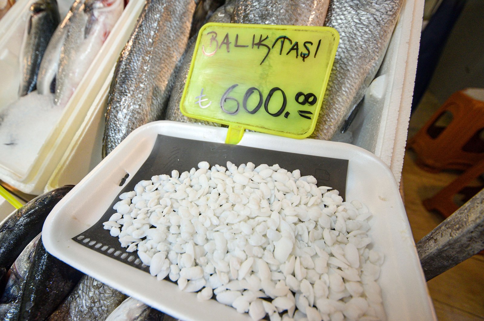 Otolith stones from the shi drum fish sold for TL 600 per kilo, Antalya, Turkey, Sept. 9, 2021. (Tolga Yildirim / DHA)