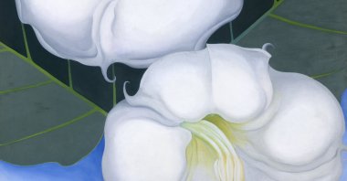 Some of the famous flower paintings are among works by Georgia O'Keefe (1887-1986) on display at the Centre Georges Pompidou in Paris, France. (DPA Photo)