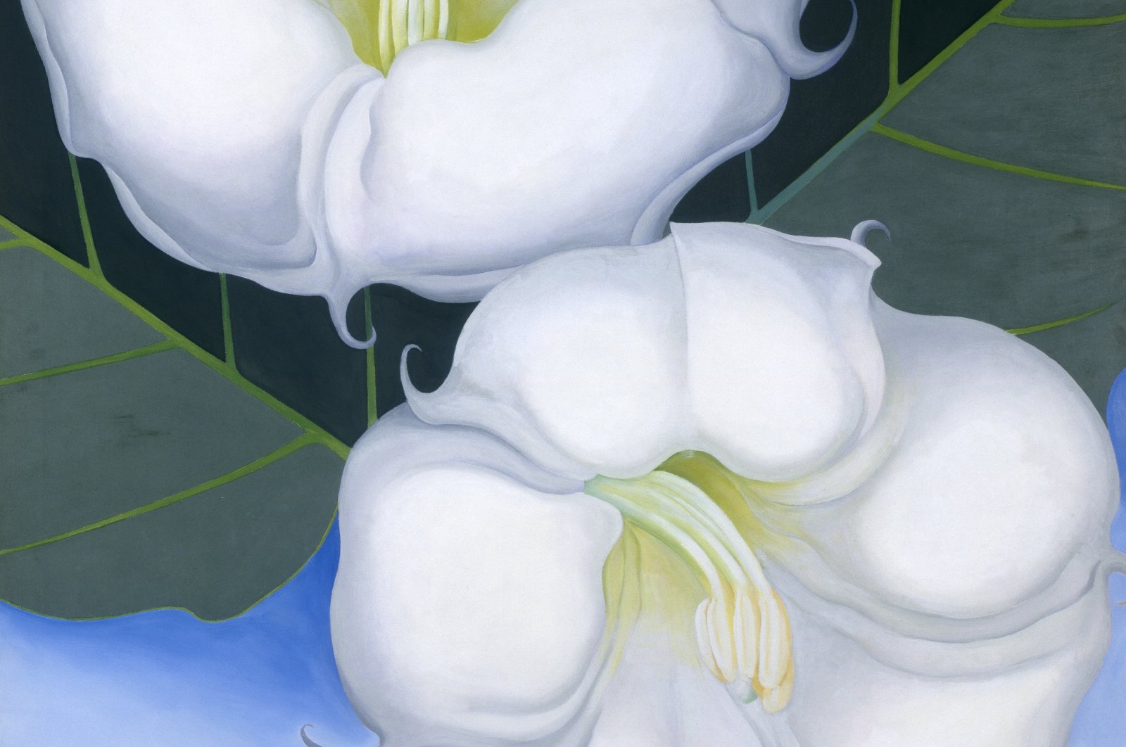 Some of the famous flower paintings are among works by Georgia O'Keefe (1887-1986) on display at the Centre Georges Pompidou in Paris, France. (DPA Photo)