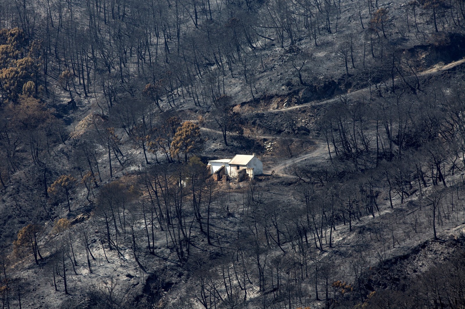 A house stands in the middle of an area devastated by the forest fire in Sierra Bermeja, Malaga, Spain, Sept. 11, 2021. (EPA Photo)