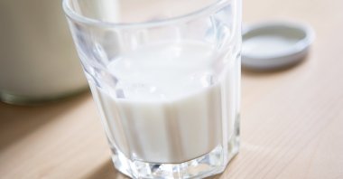 Bones need calcium, we were all told as children, but just drinking milk does not mean you will have healthy bones. (dpa Photo)