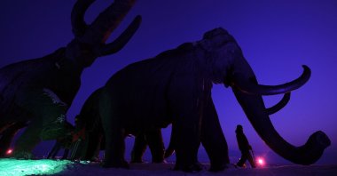 A person walks past giant bronze sculptures of mammoths during the World Biathlon Championships in Khanty-Mansiysk, Russia, March 7, 2011. (AFP File Photo)