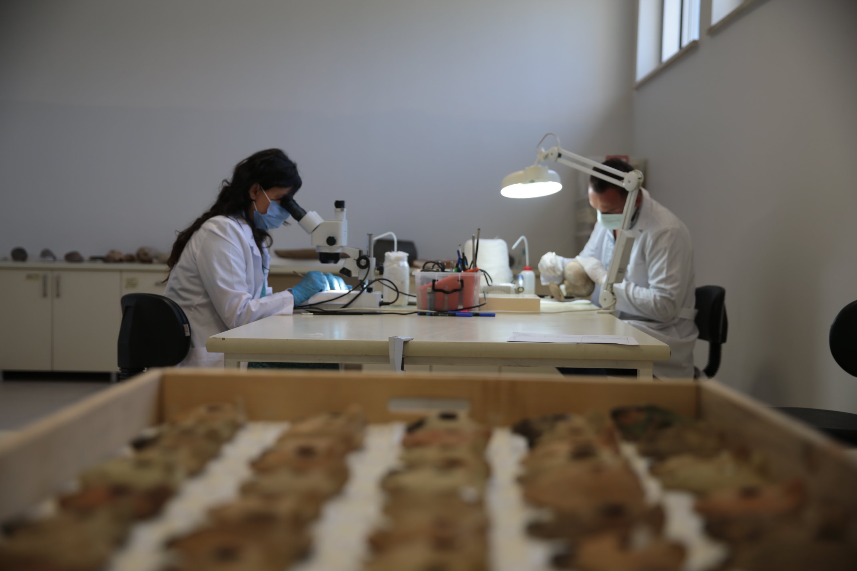 Experts work on artifacts at the Şanlıurfa Archaeology Museum, southeastern Turkey, Sept. 12, 2021. (AA Photo) 