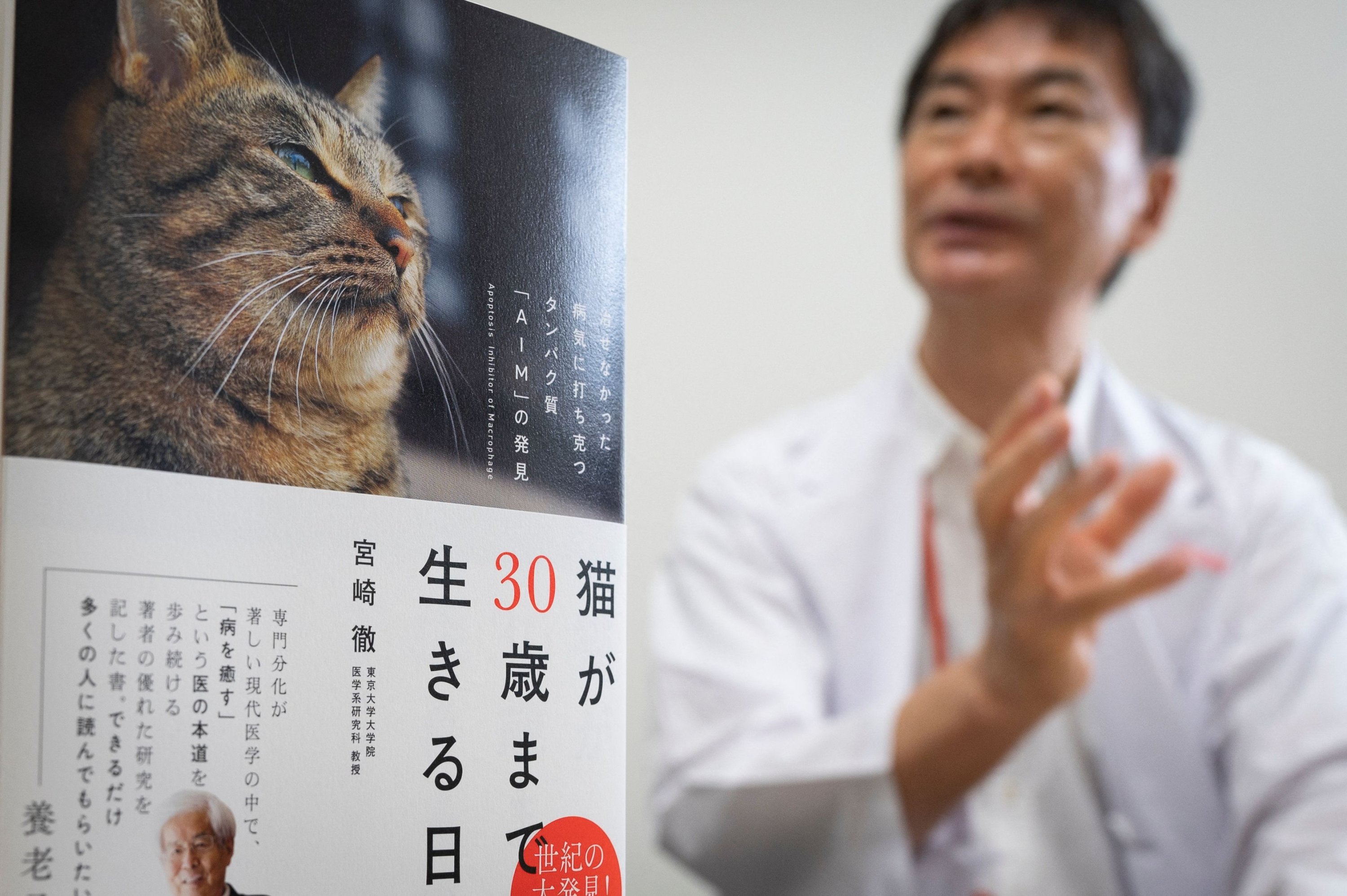 Stay paw-sitive! Japan's cat lovers donate $2M to kidney research | Daily  Sabah