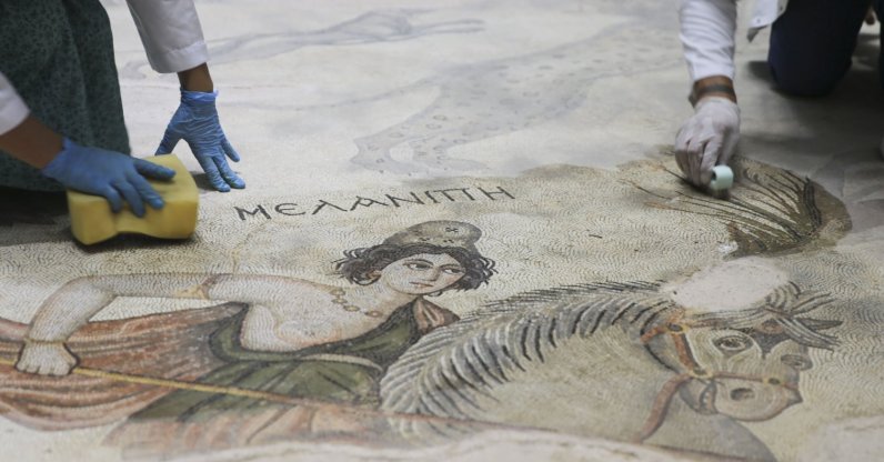 Experts work on a mosaic at the Şanlıurfa Archaeology Museum, southeastern Turkey, Sept. 12, 2021. (AA Photo) 