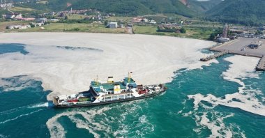 A view of sea snot near the coast, in Yalova, western Turkey, June 12, 2021. (İHA PHOTO) 