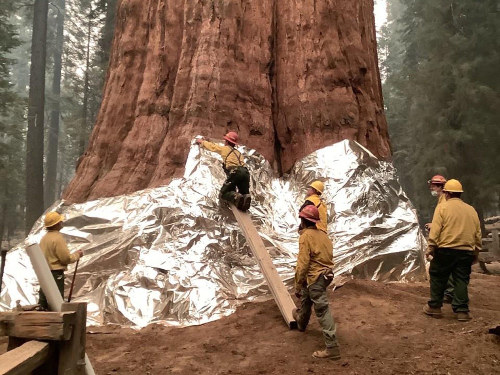 In this picture released by the National Park Service on Sept. 17, 2021, wildland firefighters apply structure wrap to giant sequoias on the KNP Complex fire in the Sequoia National Park, California, U.S. (NATIONAL PARK SERVICE via AFP)