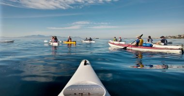 Boat excursion at the Cape: In two-person kayaks you head out into a smooth sea. (Christian Selz/dpa Photo)