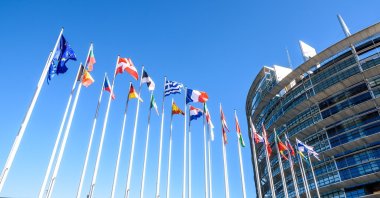 Flags of the member states of the European Union fly in front of the entrance of the Louise Weiss building, the official seat of the European Parliament in Strasbourg, France, Sept. 13, 2019. (Shutterstock Photo)