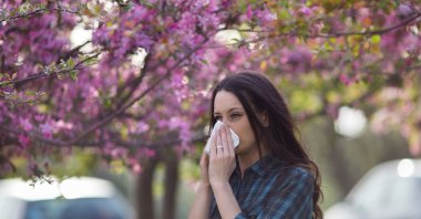 Pollen from trees and grasses can trigger allergy symptoms for people sensitive to pollen grains. (Shutterstock Photo)