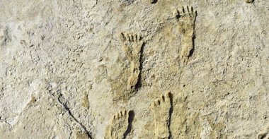 Fossilized human footprints can be seen at the White Sands National Park in New Mexico, U.S., in this undated photo made available in September 2021. (Nation Park Service via AP)