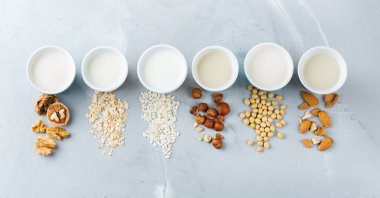 Plant-based dairy alternatives have become mainstream in many countries. (Shutterstock Photo)