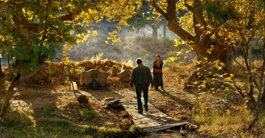 A still shot from Nuri Bilge Ceylan's “Ahlat Ağacı” (“The Wild Pear Tree”).