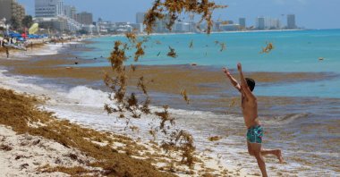 A tourist tosses sargassum into the air at Marlin Beach in Cancun, Mexico, May 30, 2021. (Reuters Photo)