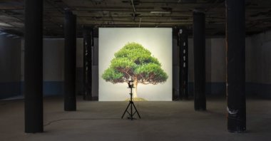 Ceal Floyer, "Overgrowth" (2004), medium format slide and medium format slide projector, dimensions variable. (Courtesy of Zeynep Fırat)
