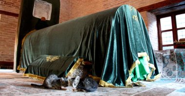 Cats photographed near the sandukas in the tomb of Pir Esad Sultan, Konya, central Turkey, Oct. 3, 2021. (AA Photo) 