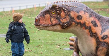 A two-year-old boy curiously looks at the model of a Carnotaurus in front of the Landesmuseum, in Lower Saxony, Hanover, Germany, Nov. 10, 2020. (Getty Images)