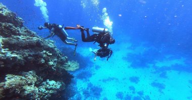 Scuba divers dive in the Red Sea waters by a coral reef near Egypt's resort city of Sharm el-Sheikh at the southern tip of the Sinai peninsula, Sept. 29, 2021. (AFP Photo)