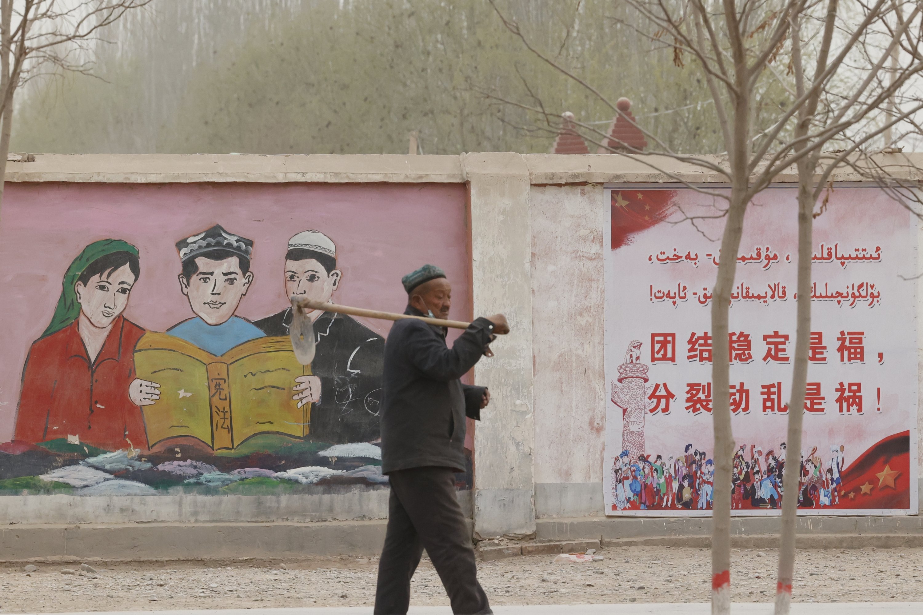 A farmer walks past government propaganda depicting ethnic minority residents reading the constitution with slogans which reads, "Unity Stability is fortune, Separatism and Turmoil is misfortune," near Kashgar, Xinjiang Uyghur Autonomous Region, China, March 19, 2021. (AP Photo)