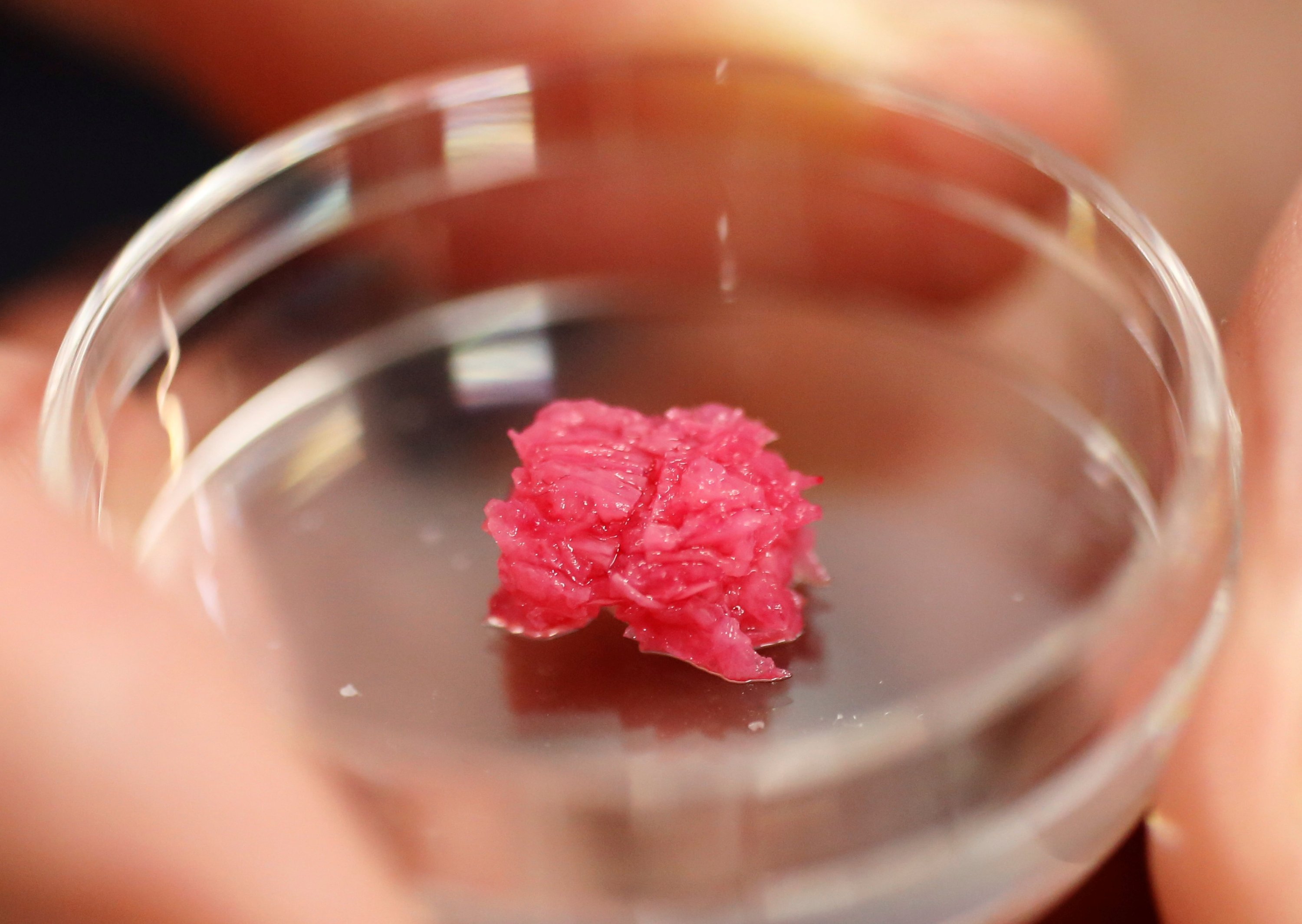 Japanese researcher pushes the boundaries of lab-grown 'real' meat