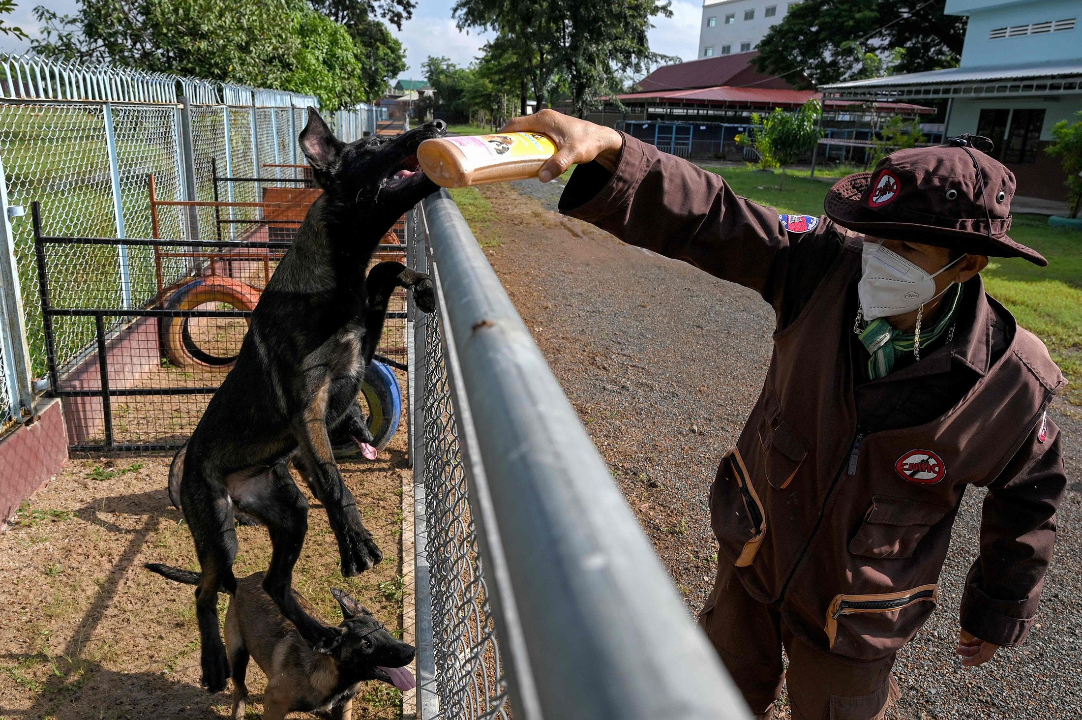 A trainer trains dogs at the Cambodian Mine Action Centre (CMAC) in Kampong Chhnang province, Cambodia, Sept. 27, 2021. (AFP Photo)
