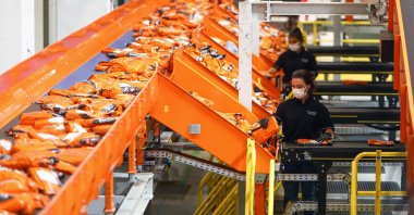 Trendyol workers work at the e-commerce company's transfer center in the Tuzla district of Istanbul, Turkey, Aug. 15, 2021. (AA Photo)