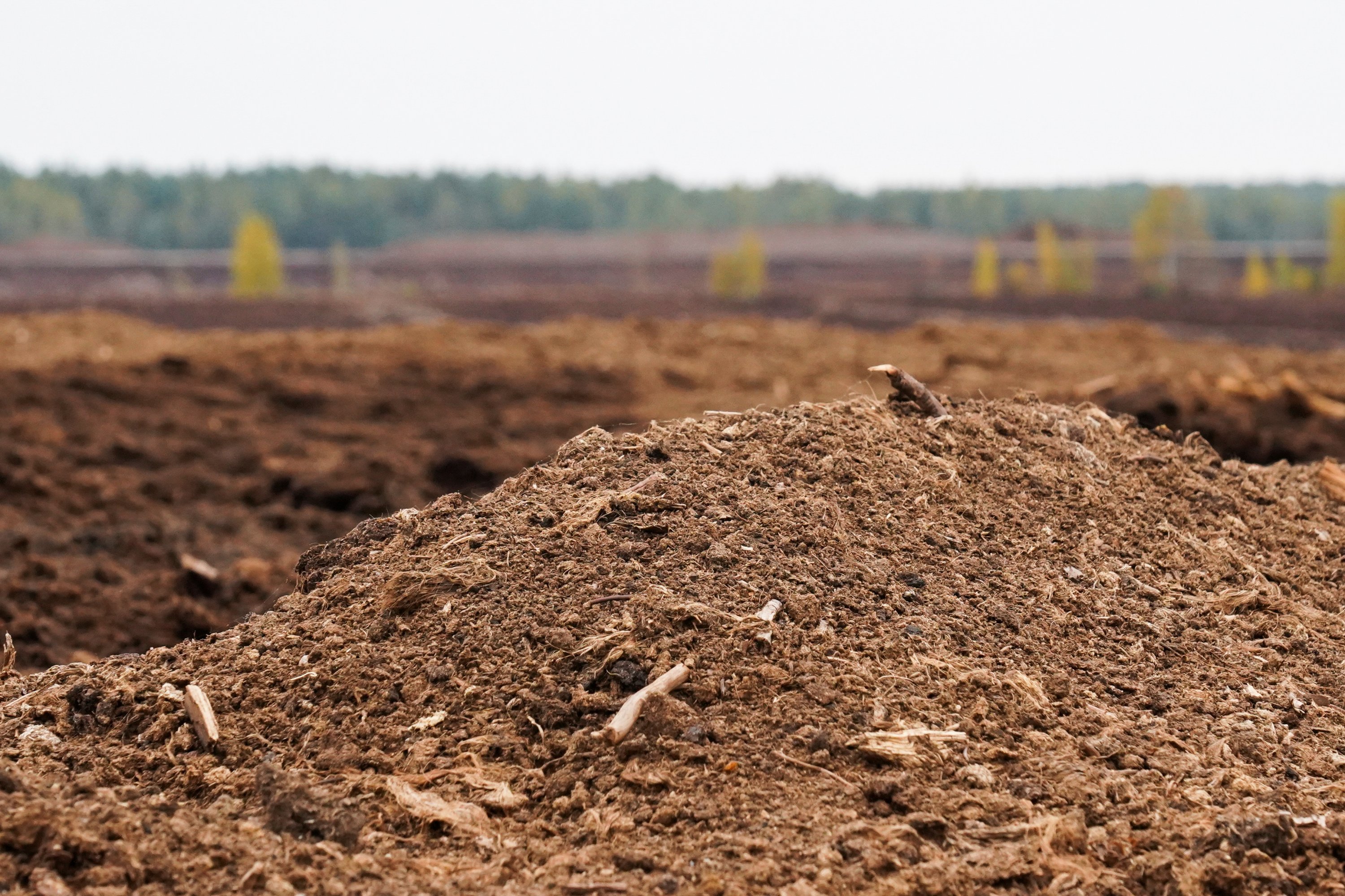 A view of a peat field in Elva, Estonia, Sep. 30, 2021. (Reuters Photo) 