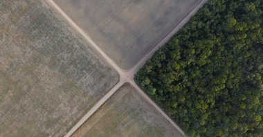 A fragment of the Amazon rainforest stands next to soy fields in Belterra, Para state, Brazil, Nov. 30, 2019. (AP Photo)