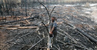 A worker cuts a tree trunk into logs in the village of Çökek, southwestern Turkey after fires ravaged forest areas in the region last month for nearly two weeks, Sept. 23, 2021. (AFP File Photo)