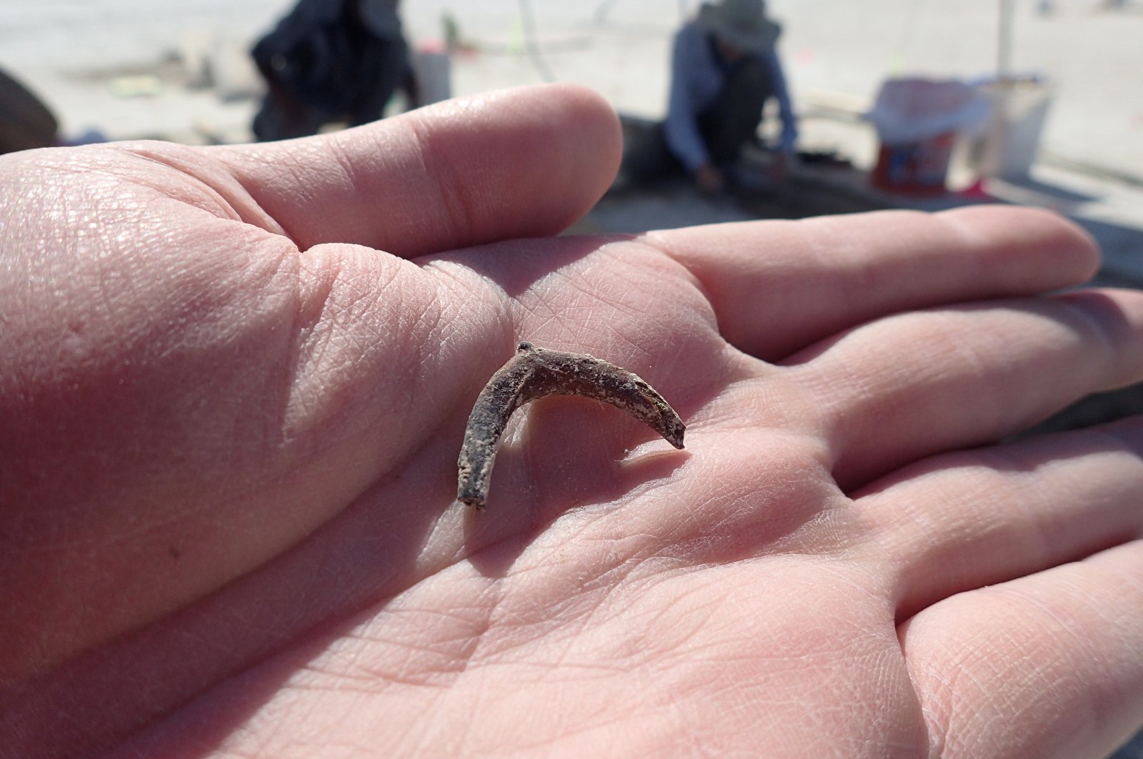 A duck wishbone is seen in this undated photo in the palm of archaeologist Daron Duke's hand at the location of an ancient 12,300-year-old hearth at the Wishbone site in the Great Salt Lake Desert in northern Utah, U.S. (Reuters Photo)