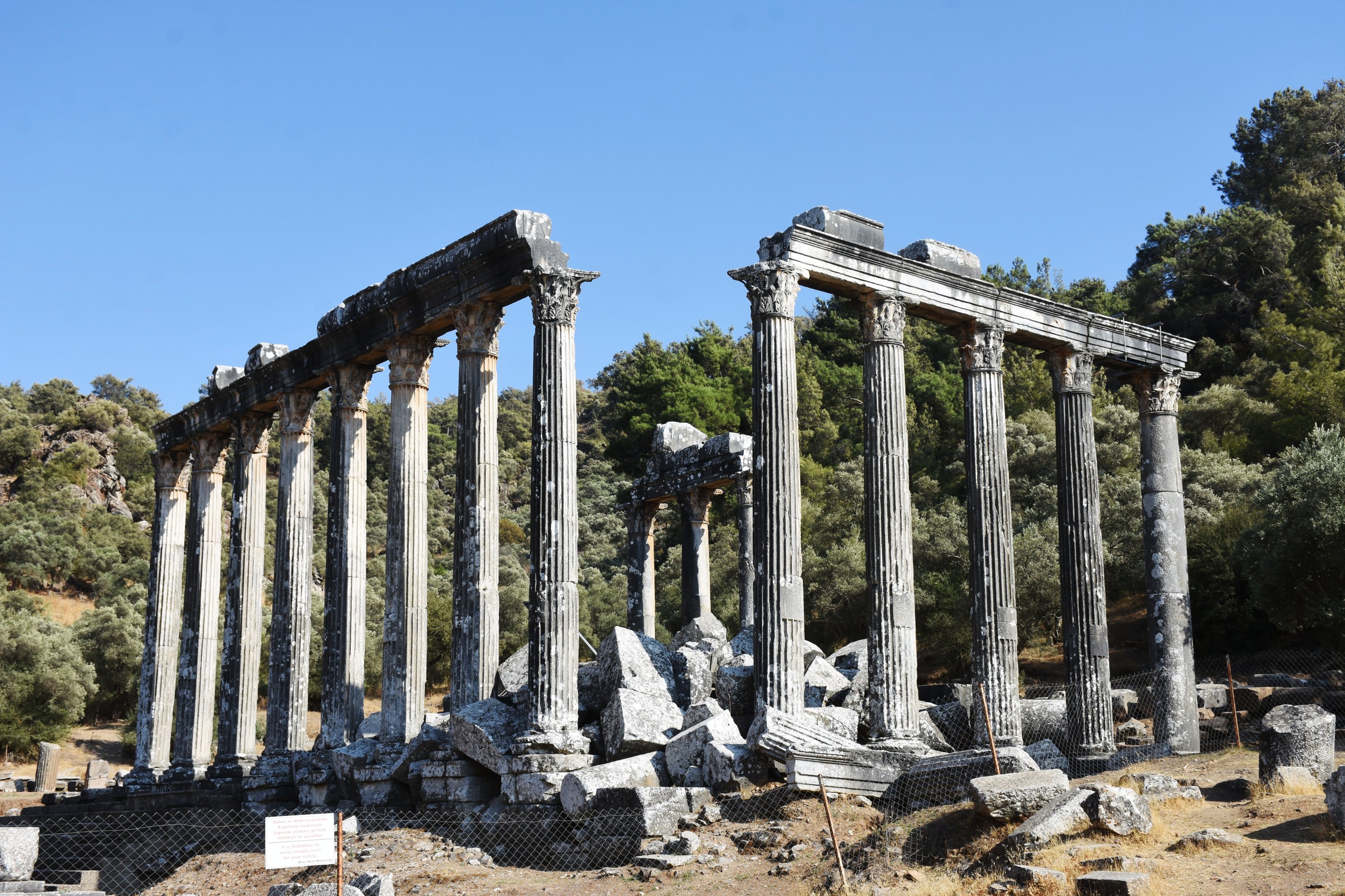 A general view of the standing columns of the Temple of Zeus Lepsynos, in the ancient city of Euromos, Muğla, Turkey, Oct. 11, 2021. (AA Photo)