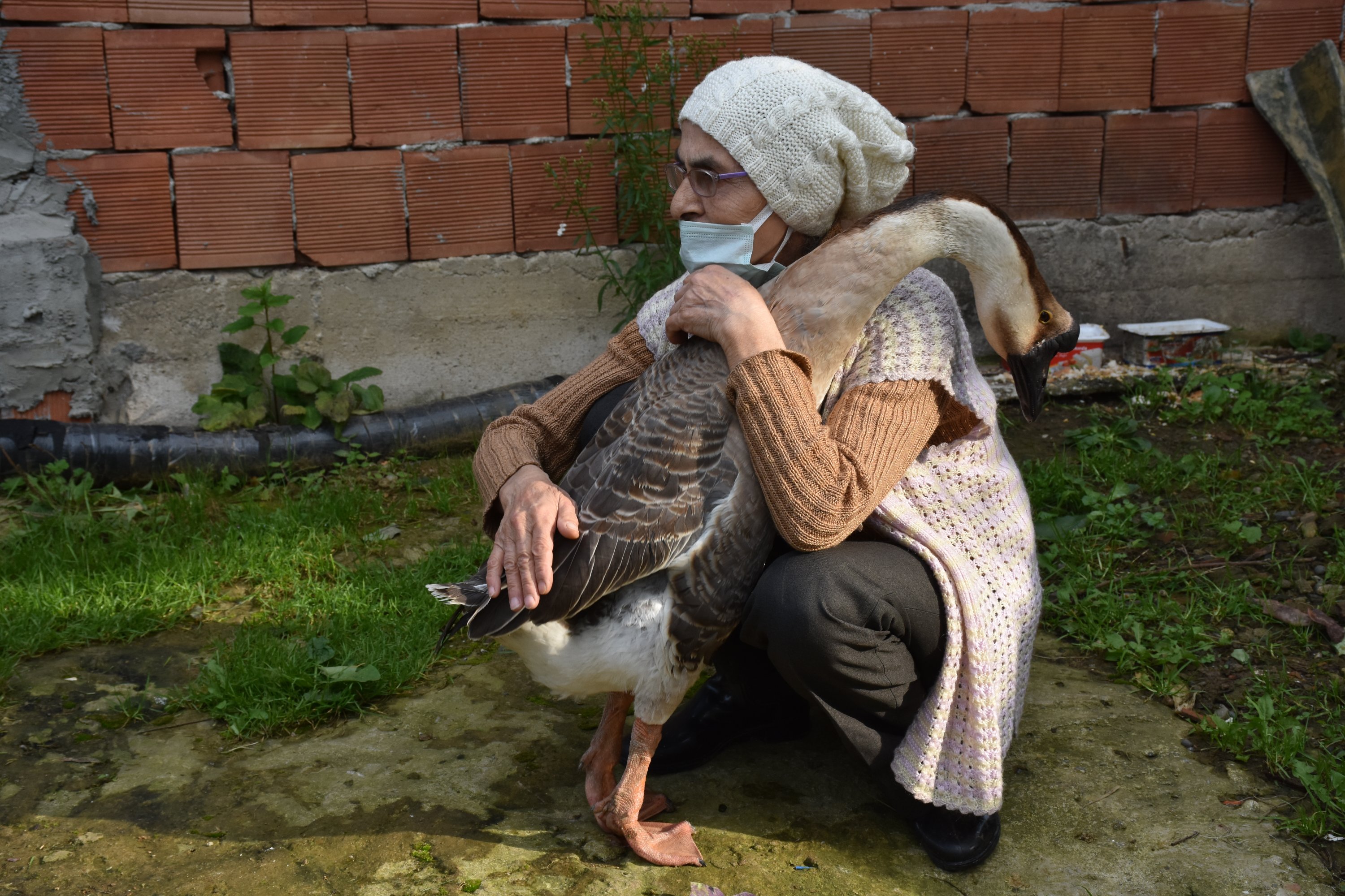 Hatice Özkan, 63, embraces her grandson's pet goose Kirli, Trabzon, Turkey, Oct. 15, 2021. (AA Photo)