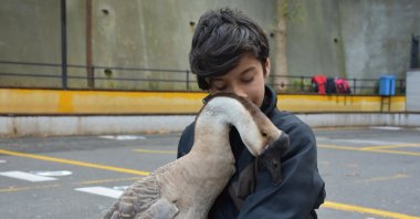 Thirteen-year-old Yiğit Terzi embraces his pet goose, Kirli, at his school in Trabzon, Turkey, Oct. 15, 2021. (AA Photo)