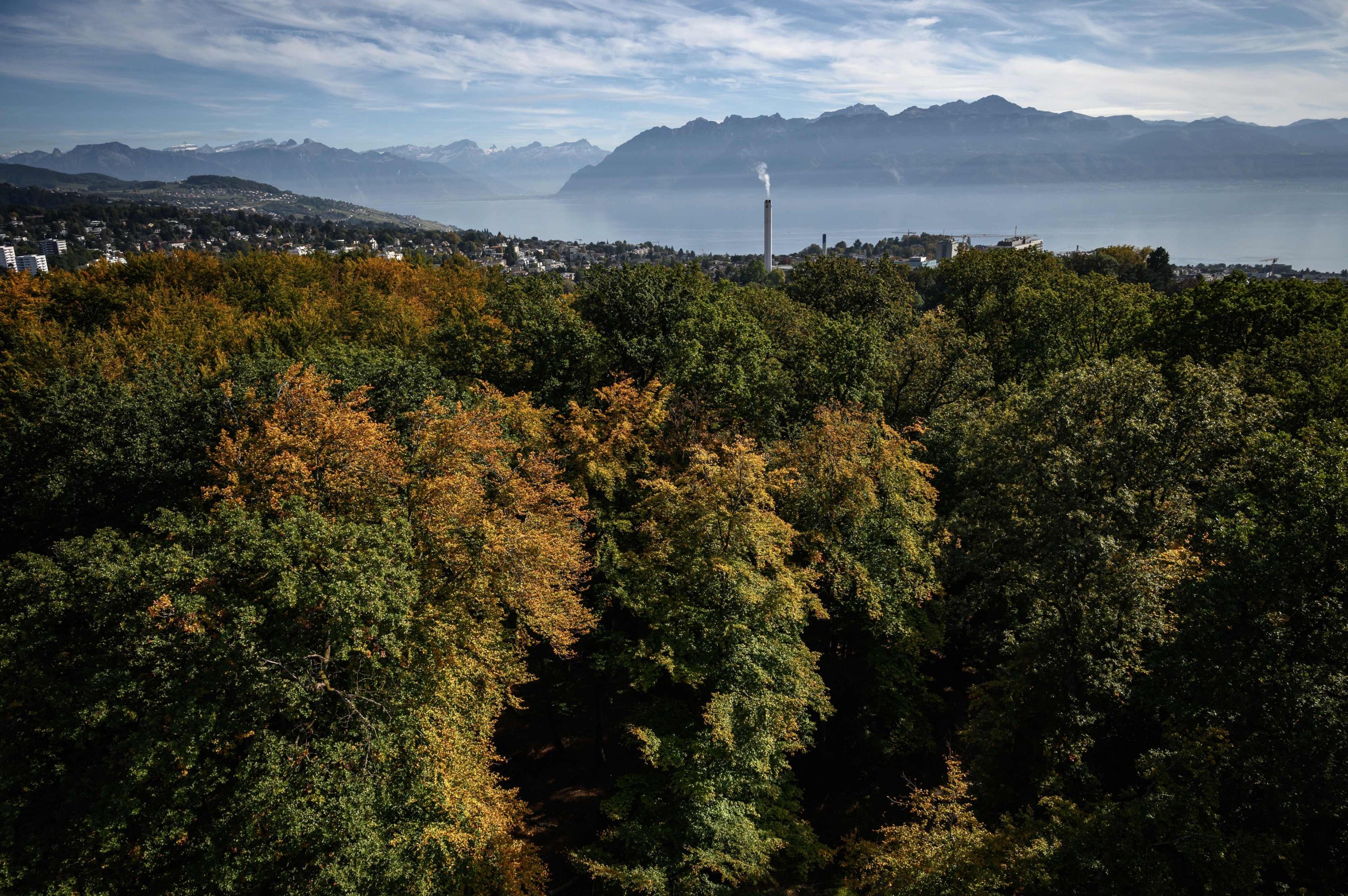 The dioxin-polluted forest of Sauvabellin seen from the wooden Tour of Sauvabellin, Lausanne, Switzerland, Oct. 15, 2021. (AFP Photo)